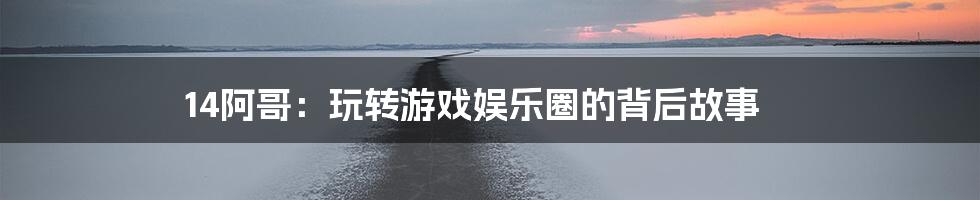 14阿哥：玩转游戏娱乐圈的背后故事