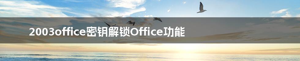 2003office密钥解锁Office功能