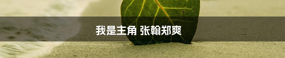 我是主角 张翰郑爽