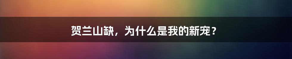 贺兰山缺，为什么是我的新宠？