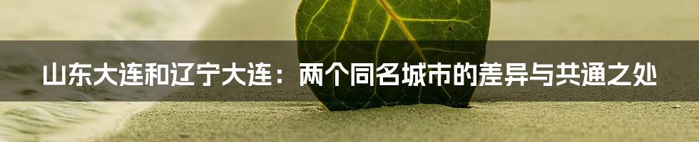 山东大连和辽宁大连：两个同名城市的差异与共通之处