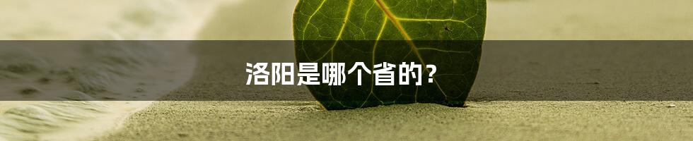 洛阳是哪个省的？