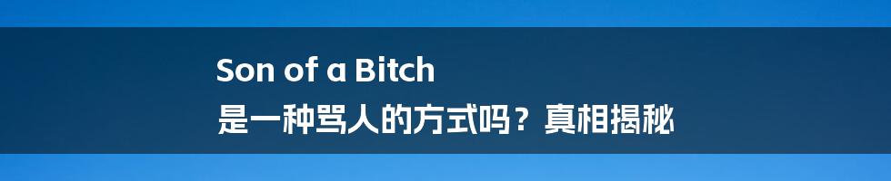 Son of a Bitch 是一种骂人的方式吗？真相揭秘