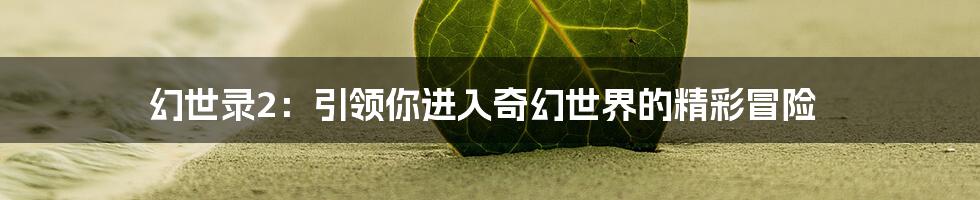 幻世录2：引领你进入奇幻世界的精彩冒险