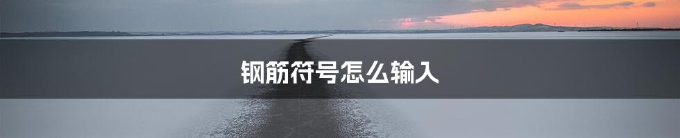 钢筋符号怎么输入