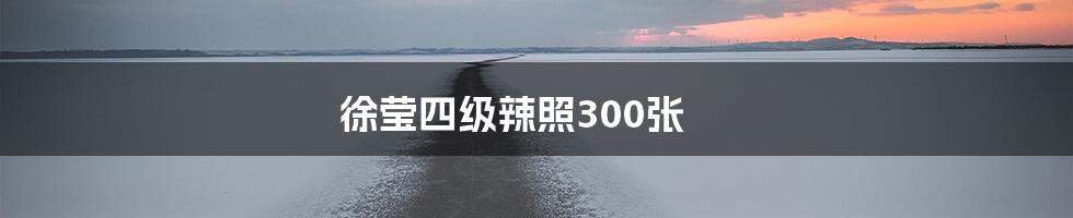 徐莹四级辣照300张