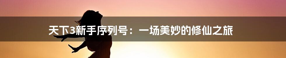 天下3新手序列号：一场美妙的修仙之旅