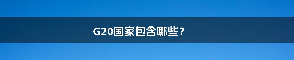 G20国家包含哪些？