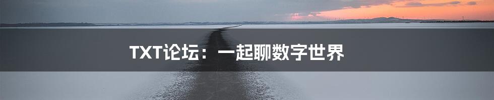 TXT论坛：一起聊数字世界