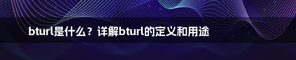 bturl是什么？详解bturl的定义和用途