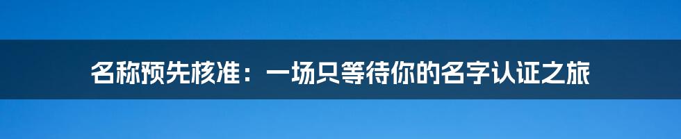 名称预先核准：一场只等待你的名字认证之旅