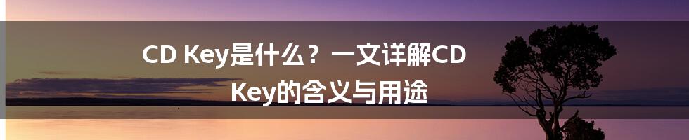 CD Key是什么？一文详解CD Key的含义与用途