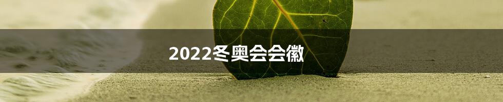 2022冬奥会会徽