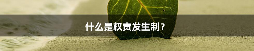 什么是权责发生制？