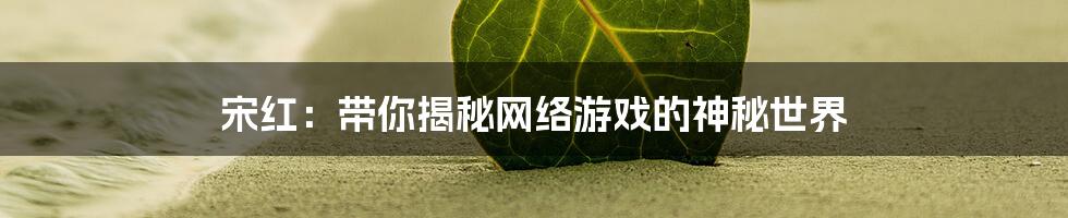 宋红：带你揭秘网络游戏的神秘世界