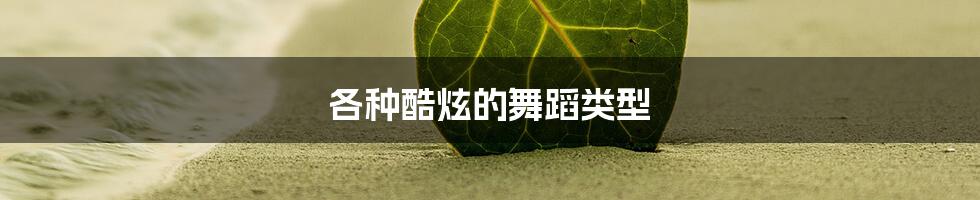 各种酷炫的舞蹈类型