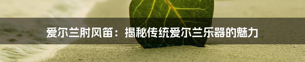 爱尔兰肘风笛：揭秘传统爱尔兰乐器的魅力