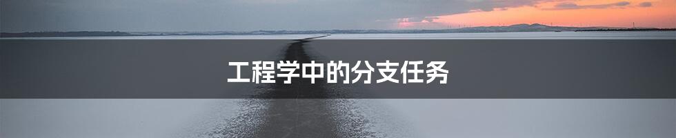 工程学中的分支任务