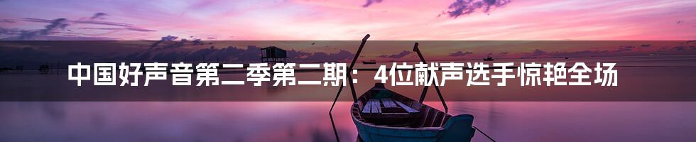 中国好声音第二季第二期：4位献声选手惊艳全场