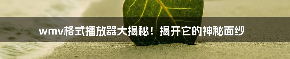 wmv格式播放器大揭秘！揭开它的神秘面纱