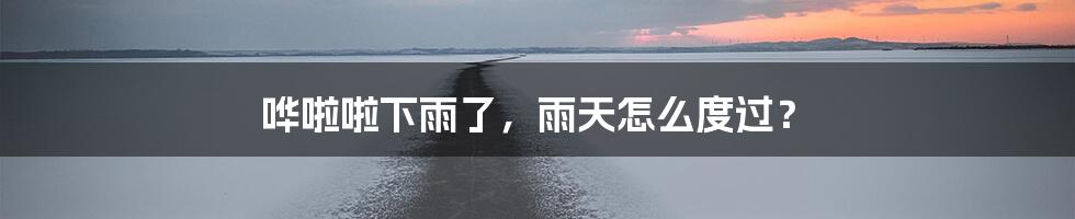 哗啦啦下雨了，雨天怎么度过？