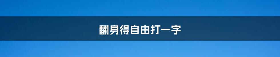 翻身得自由打一字