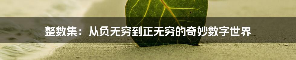 整数集：从负无穷到正无穷的奇妙数字世界