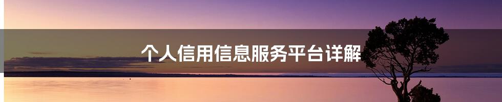 个人信用信息服务平台详解