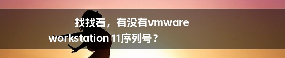 找找看，有没有vmware workstation 11序列号？