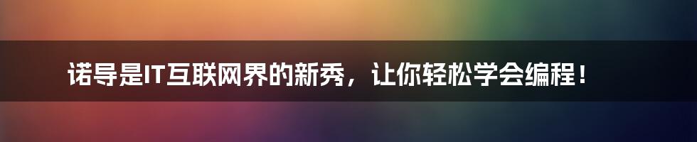 诺导是IT互联网界的新秀，让你轻松学会编程！