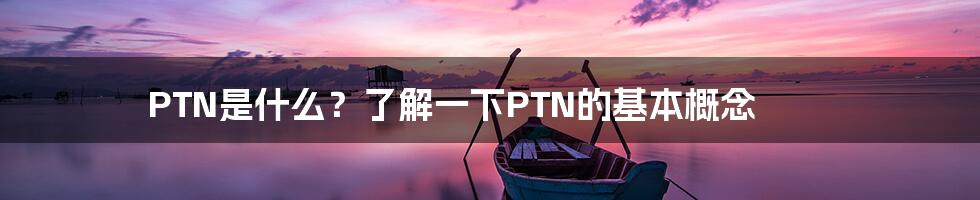 PTN是什么？了解一下PTN的基本概念