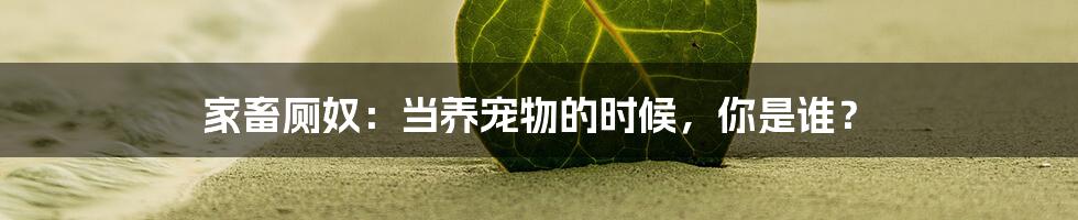 家畜厕奴：当养宠物的时候，你是谁？