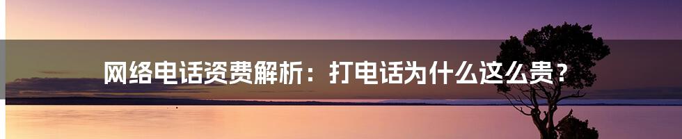 网络电话资费解析：打电话为什么这么贵？