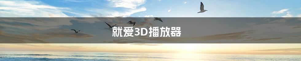 就爱3D播放器