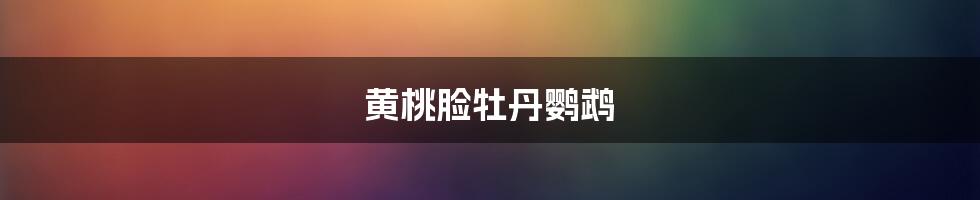 黄桃脸牡丹鹦鹉