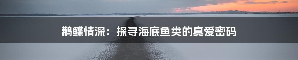 鹣鲽情深：探寻海底鱼类的真爱密码