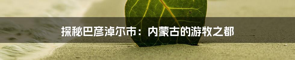 探秘巴彦淖尔市：内蒙古的游牧之都