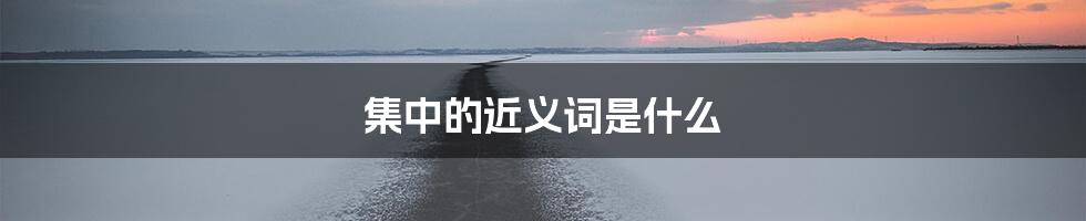 集中的近义词是什么