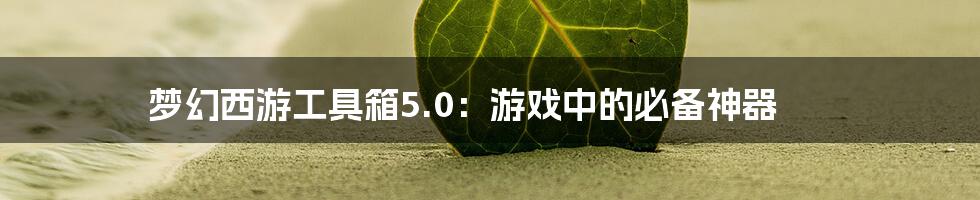 梦幻西游工具箱5.0：游戏中的必备神器