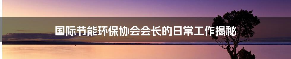 国际节能环保协会会长的日常工作揭秘