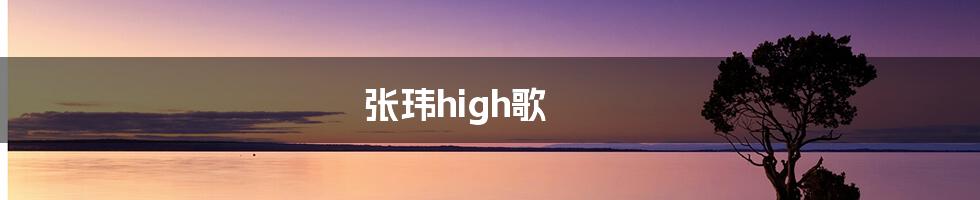 张玮high歌