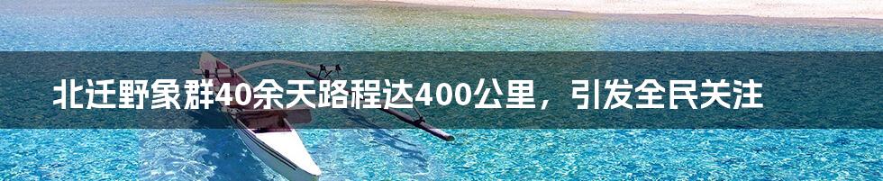 北迁野象群40余天路程达400公里，引发全民关注