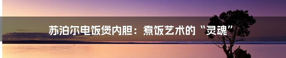 苏泊尔电饭煲内胆：煮饭艺术的“灵魂”