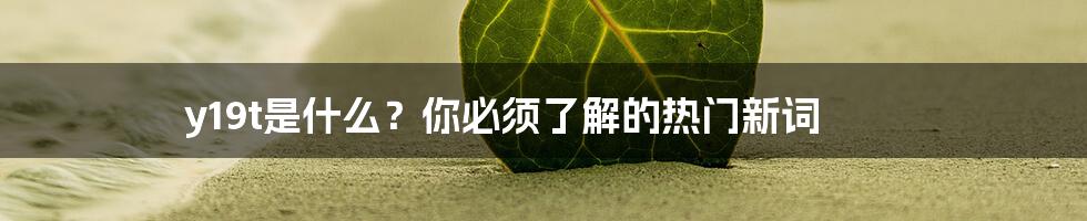 y19t是什么？你必须了解的热门新词