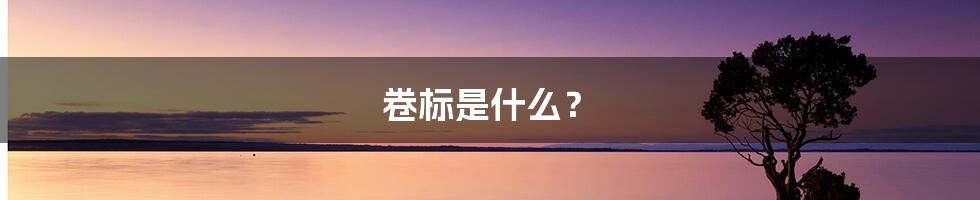 卷标是什么？