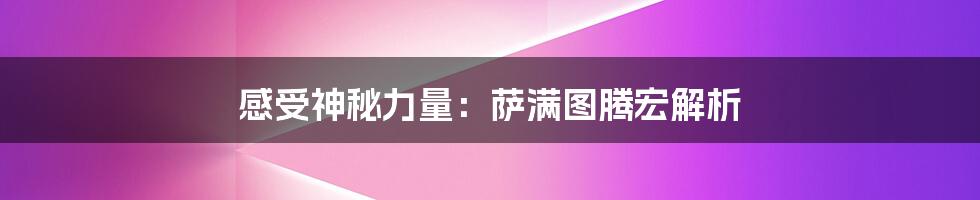 感受神秘力量：萨满图腾宏解析