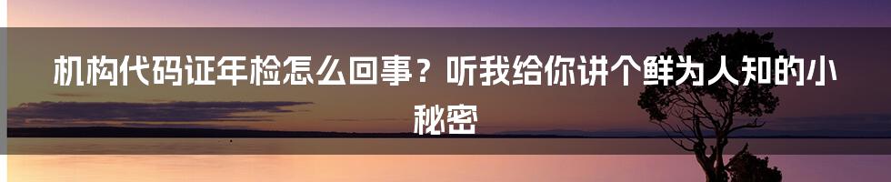 机构代码证年检怎么回事？听我给你讲个鲜为人知的小秘密