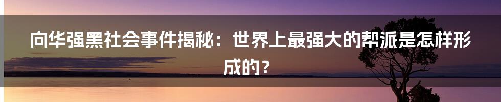 向华强黑社会事件揭秘：世界上最强大的帮派是怎样形成的？