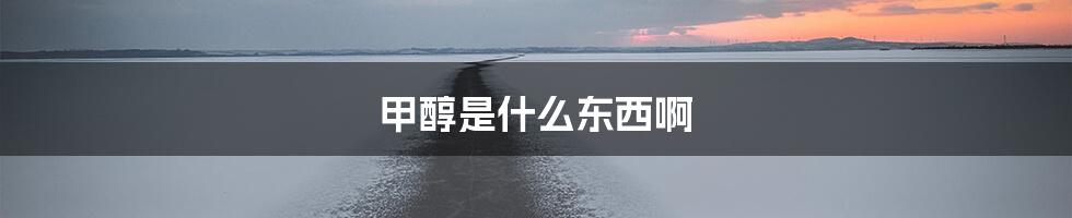 甲醇是什么东西啊