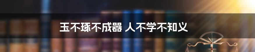 玉不琢不成器 人不学不知义